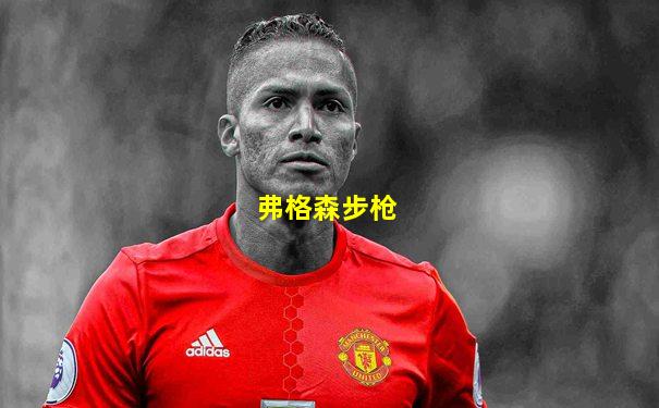 弗格森步枪