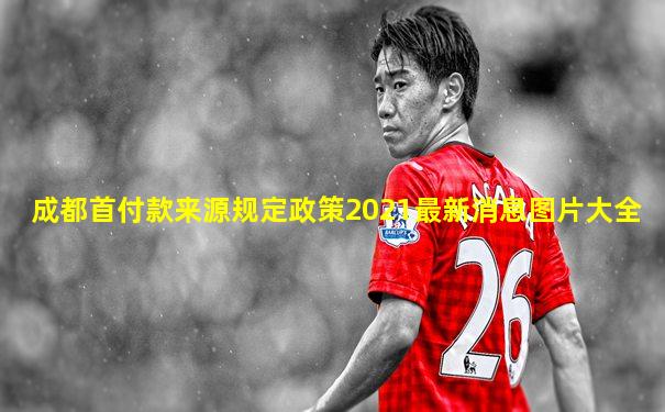 成都首付款来源规定政策2021最新消息图片大全