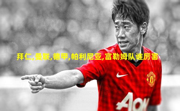 拜仁,曼联,德甲,帕利尼亚,富勒姆队谁厉害