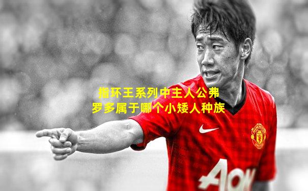 指环王系列中主人公弗罗多属于哪个小矮人种族
