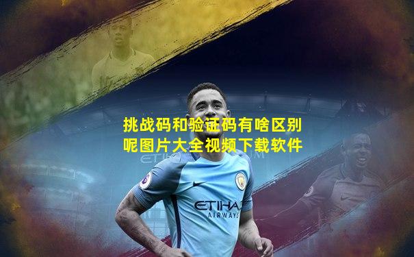 挑战码和验证码有啥区别呢图片大全视频下载软件