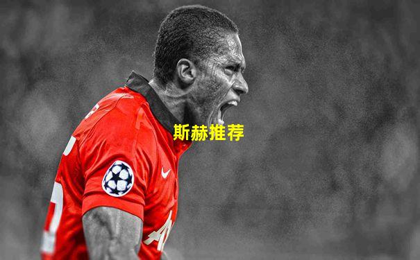 斯赫推荐
