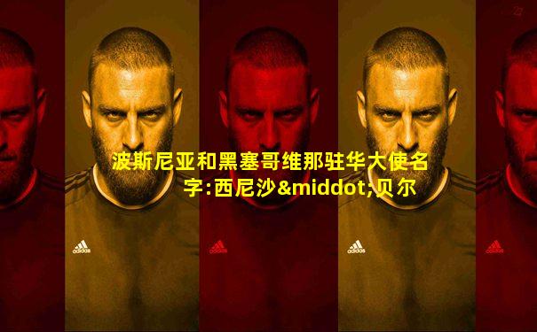 波斯尼亚和黑塞哥维那驻华大使名字:西尼沙·贝尔杨