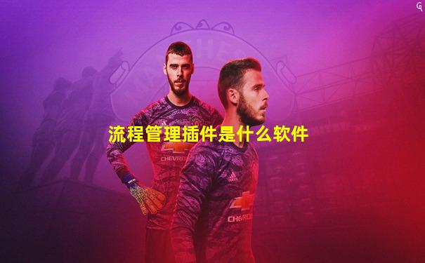 流程管理插件是什么软件