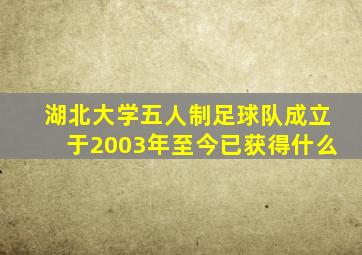 湖北大学五人制足球队成立于2003年至今已获得什么