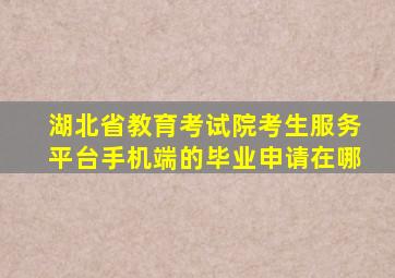 湖北省教育考试院考生服务平台手机端的毕业申请在哪