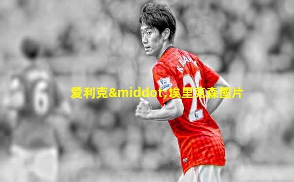 爱利克·埃里克森图片