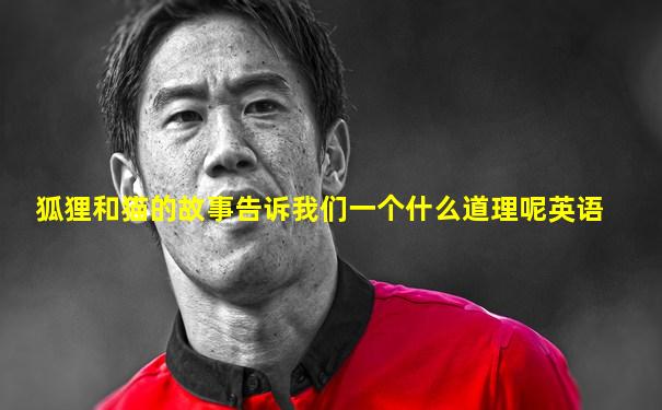 狐狸和猫的故事告诉我们一个什么道理呢英语
