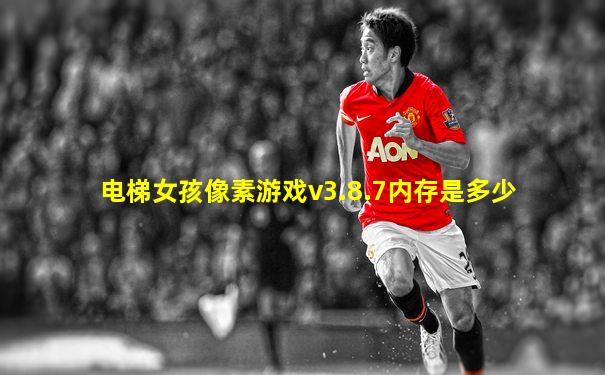 电梯女孩像素游戏v3.8.7内存是多少