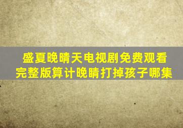 盛夏晚晴天电视剧免费观看完整版算计晚睛打掉孩子哪集