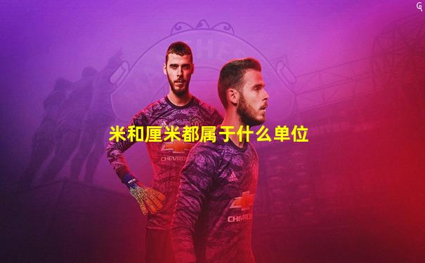 米和厘米都属于什么单位