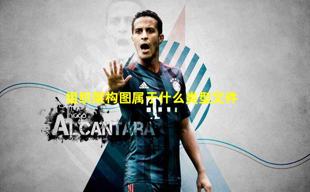组织架构图属于什么类型文件