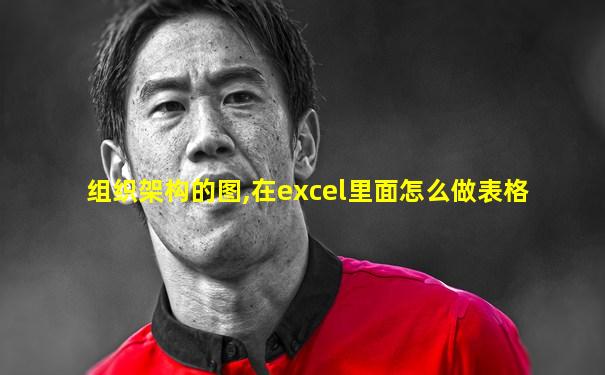 组织架构的图,在excel里面怎么做表格