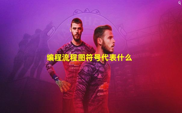 编程流程图符号代表什么