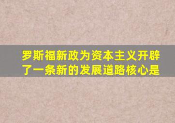 罗斯福新政为资本主义开辟了一条新的发展道路核心是