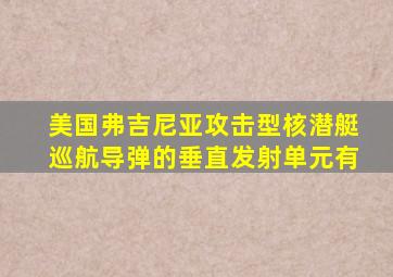 美国弗吉尼亚攻击型核潜艇巡航导弹的垂直发射单元有
