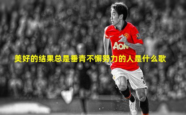 美好的结果总是垂青不懈努力的人是什么歌