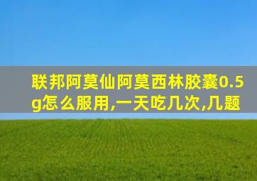 联邦阿莫仙阿莫西林胶囊0.5g怎么服用,一天吃几次,几题