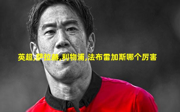 英超,萨拉赫,利物浦,法布雷加斯哪个厉害