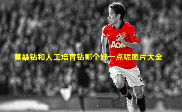 莫桑钻和人工培育钻哪个好一点呢图片大全
