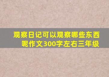 观察日记可以观察哪些东西呢作文300字左右三年级