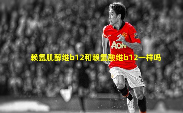 赖氨肌醇维b12和赖氨酸维b12一样吗