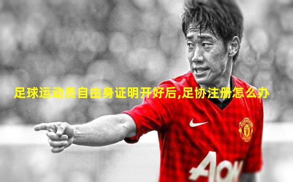 足球运动员自由身证明开好后,足协注册怎么办