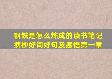 钢铁是怎么炼成的读书笔记摘抄好词好句及感悟第一章