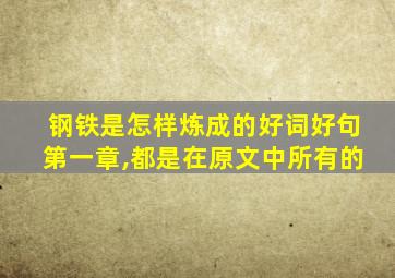 钢铁是怎样炼成的好词好句第一章,都是在原文中所有的