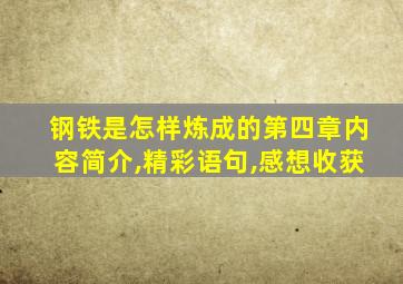 钢铁是怎样炼成的第四章内容简介,精彩语句,感想收获