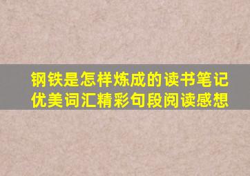 钢铁是怎样炼成的读书笔记优美词汇精彩句段阅读感想