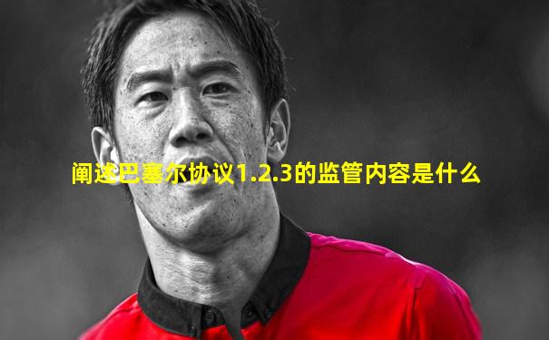 阐述巴塞尔协议1.2.3的监管内容是什么