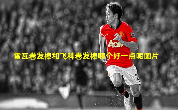 雷瓦卷发棒和飞科卷发棒哪个好一点呢图片