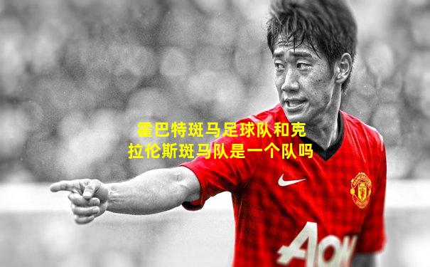 霍巴特斑马足球队和克拉伦斯斑马队是一个队吗