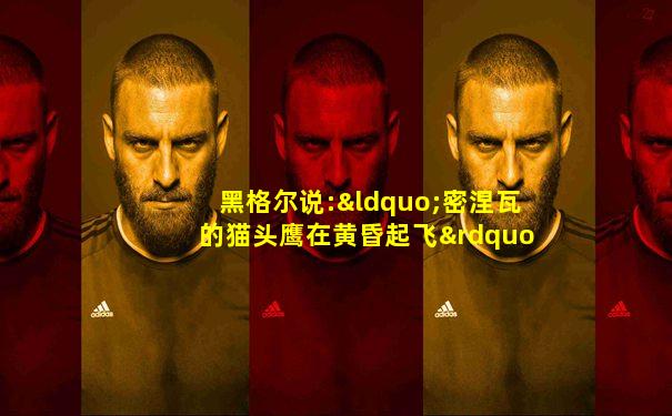 黑格尔说:“密涅瓦的猫头鹰在黄昏起飞”